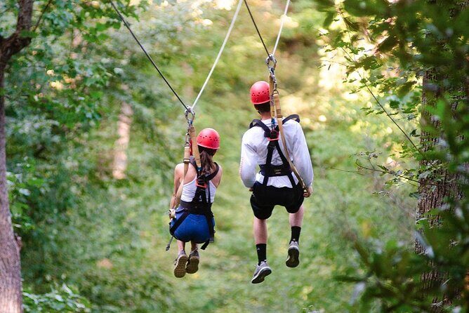 Day Trip to Kereita Forest and Ziplining - First Steps in Kereita Forest: Carbacid Gate, CO2 Spring, and Morning Pace