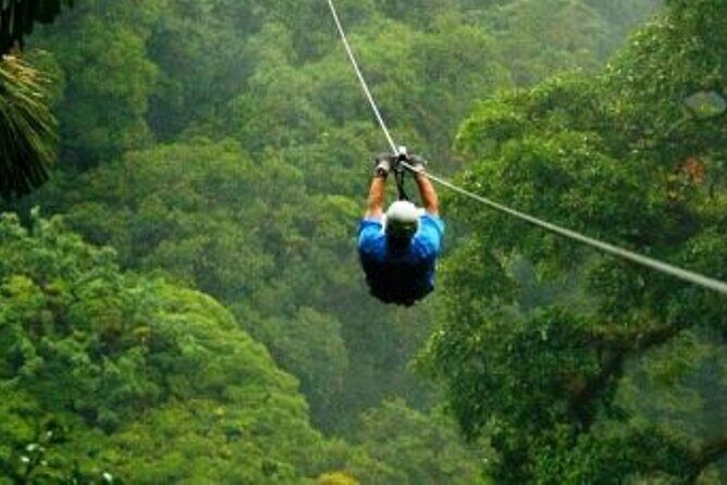 Day Trip to Kereita Forest and Ziplining - Ziplining and Add-Ons: How to Budget for 6 Lines, Archery, and Horse Riding