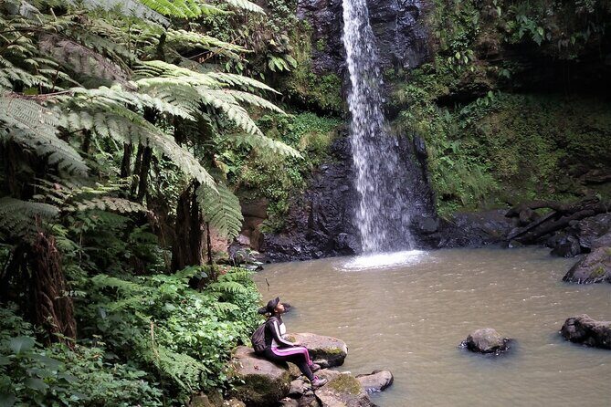 Day Trip to Kereita Forest and Ziplining - The Human Side of Kereita Forest: Why You Should Learn the 1953 Story