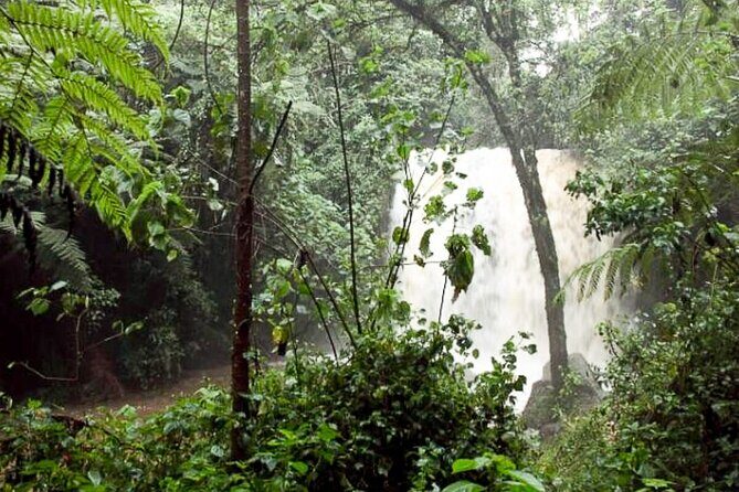 Day Trip to Kereita Forest and Ziplining - Pickup, Timing, and Nairobi Reality: Making the Most of an 11-Hour Day