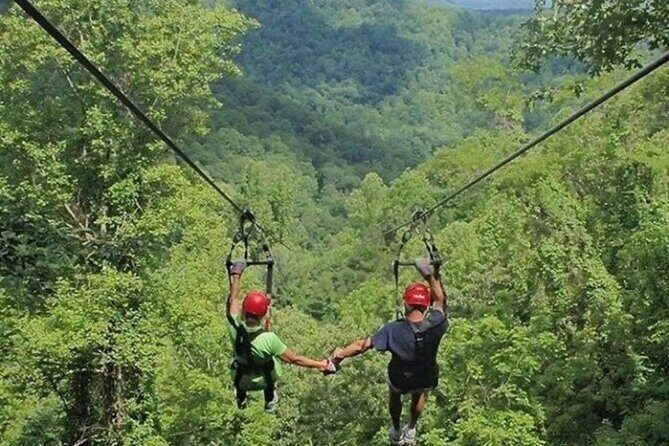 Day Trip to Kereita Forest and Ziplining - Value Check for $99: What You Get, What Costs Extra, and When It’s Worth It