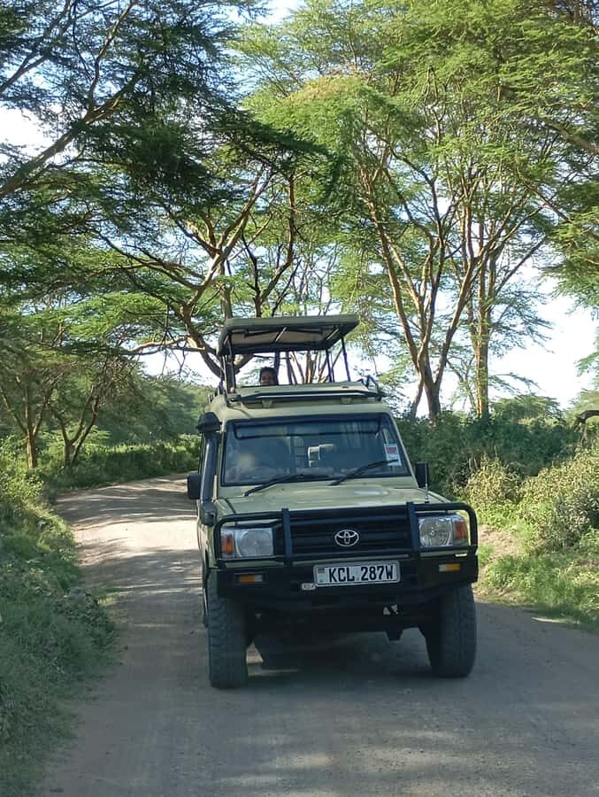 Day Trip to Lake Nakuru National Park from Nairobi - Key things to know before you go