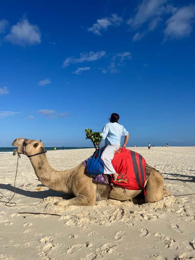 DIANI: BEACH CAMEL RIDE - Key things to know before you ride