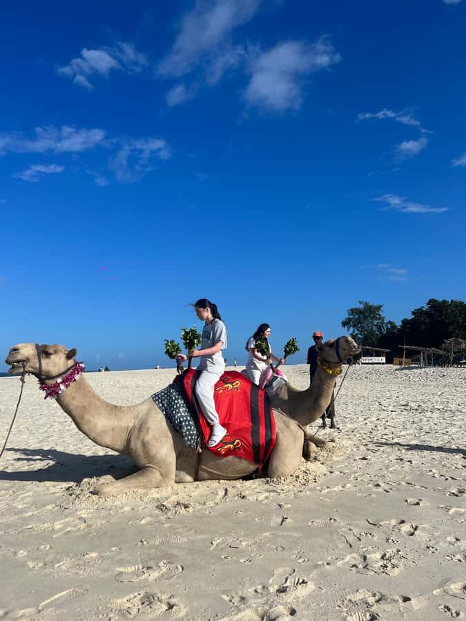 DIANI: BEACH CAMEL RIDE - The 30-minute camel ride along the shoreline