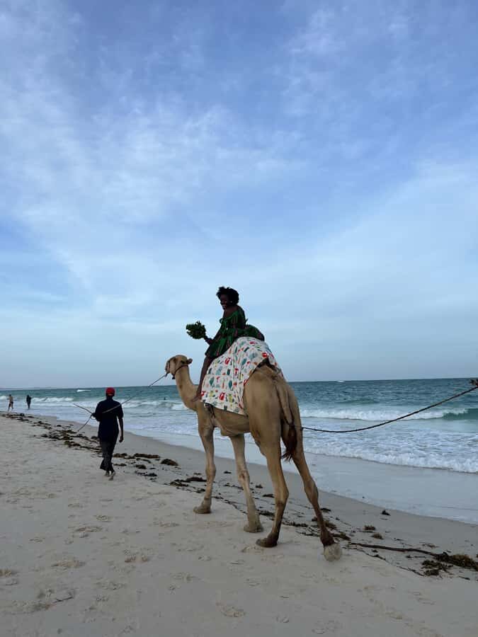 DIANI: BEACH CAMEL RIDE - Meeting at Kongo Mosque: the one logistics point to get right