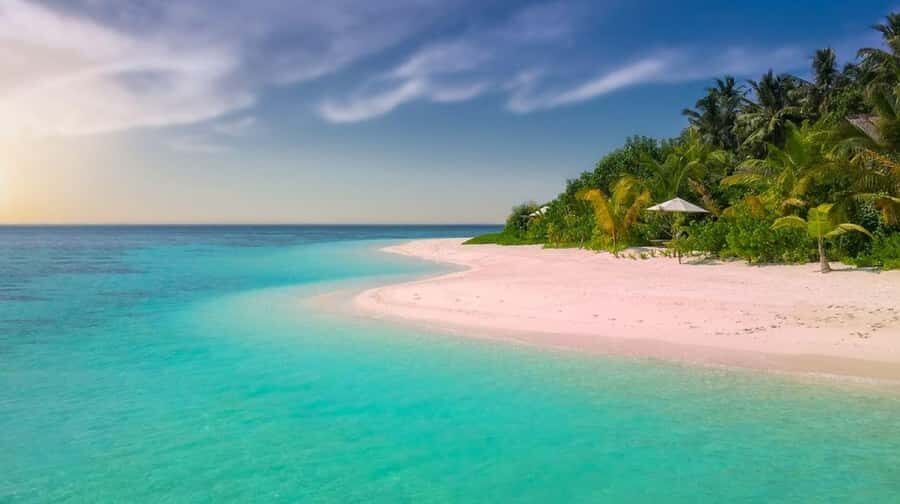 Diani Beach: Funzi Island Day Trip with Lunch - Key things that make this day trip work