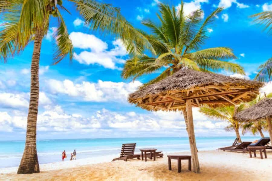 Diani Beach: Funzi Island Day Trip with Lunch - Motorized canoe on the Ramisi River: wildlife spotting with a trade-off
