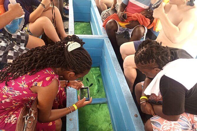 Diani Beach: Glass-bottom Boat Ride with Underwater Show - Quick hits before you go