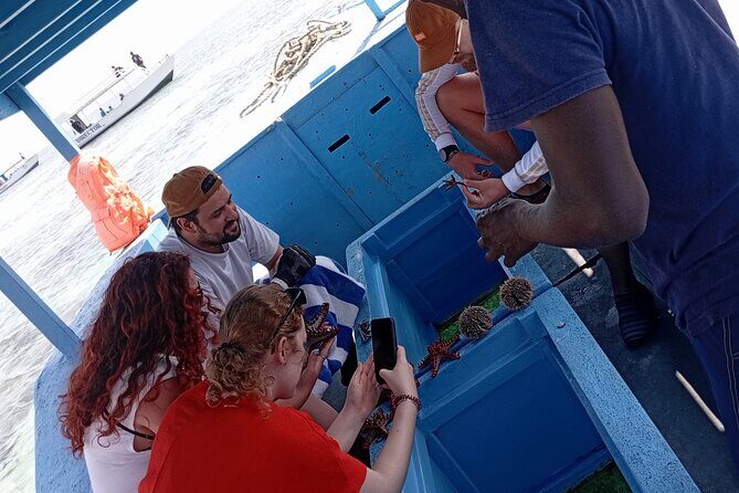Diani Beach: Glass-bottom Boat Ride with Underwater Show - How the Diani glass-bottom boat ride really works