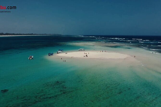 Diani Beach: Glass-bottom Boat Ride with Underwater Show - Conservation talk on board: why the show is more than entertainment
