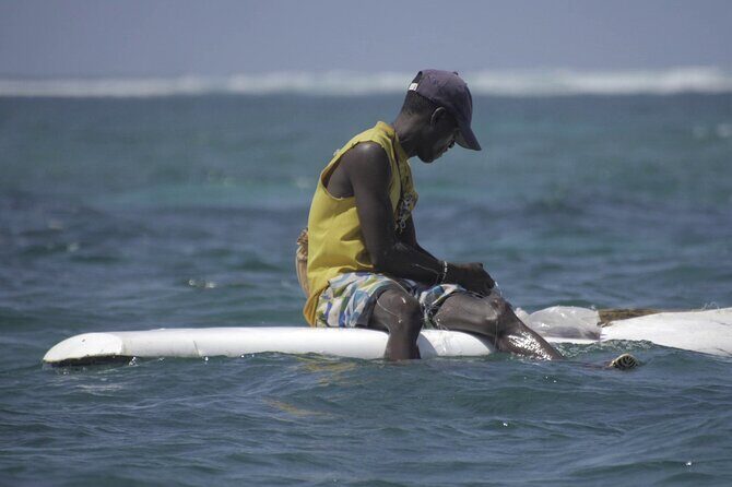 Diani Beach: Glass-bottom Boat Ride with Underwater Show - Price and value: is $30 per person worth it?