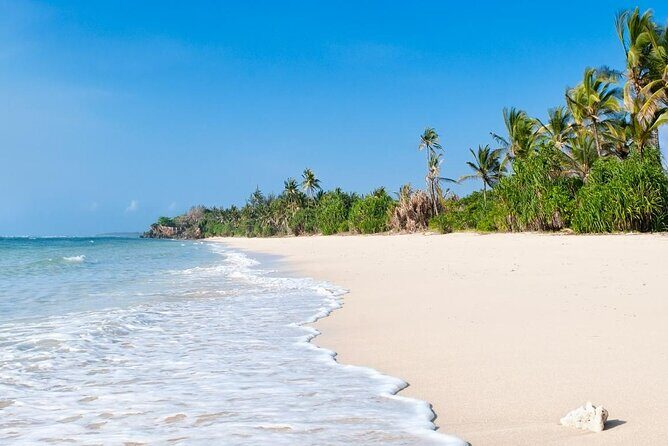 Diani Beach: Glass-bottom Boat Ride with Underwater Show - Getting the most out of the experience (without overplanning)