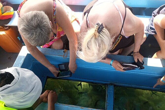 Diani Beach: Glass-bottom Boat Ride with Underwater Show - The 4-hour flow: pickup, public beach boarding, and the show