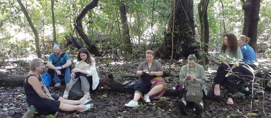 Diani Beach: Kaya Kinondo cultural and nature experience - The guided forest walk: shaded trail, sacred purpose, medicinal plants