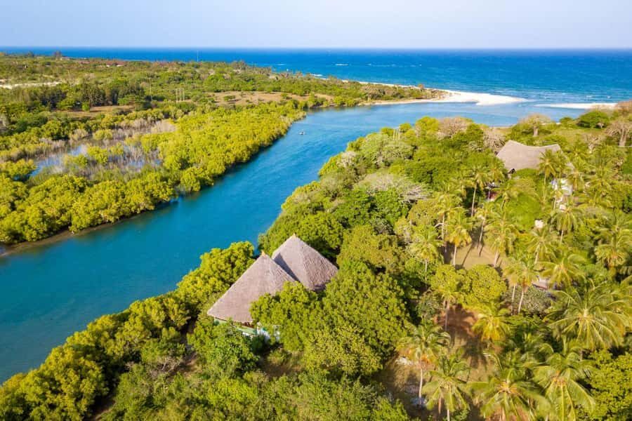Diani Beach: Sunset Dhow Cruise with Dinner - The first dhow segment: settling into the river pace