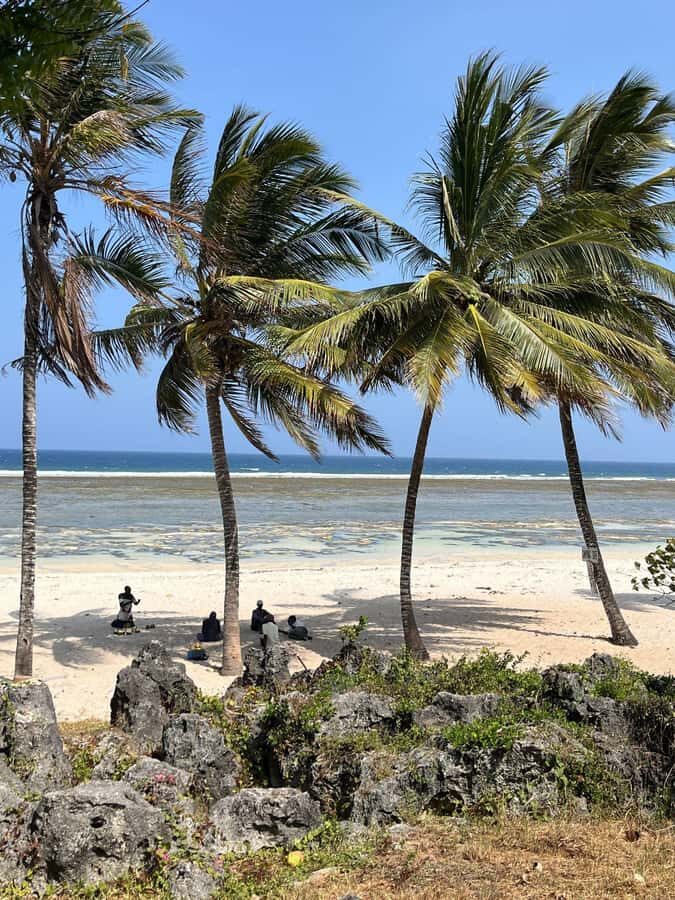 Diani: Full day Guided tour in Tiwi beach & Diani - Snorkeling in coral caves and swimming at the African Pool