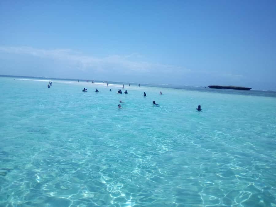 Diani: Wasini Island Dolphin Watching and Snorkeling Tour - Arabic dhow to Wasini Island: how the cruise sets the tone