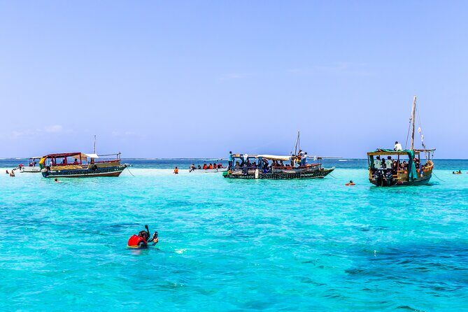 Dolphin Watch & Snorkeling at Kisite Marine Park & Wasini Island - Key things to know before you go