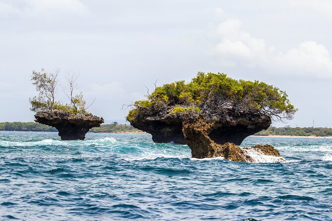 Dolphin Watch & Snorkeling at Kisite Marine Park & Wasini Island - Wasini Women’s Group boardwalk: mangroves and coral gardens (extra ticket)