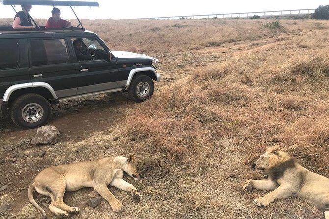 Early Morning Group Joining Mini Safari To Nairobi National Park - Stop 1: Nairobi National Park and the Big Five without elephant pressure