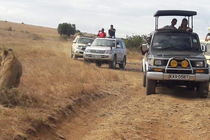Early Morning Group Joining Mini Safari To Nairobi National Park - Birdlife in Nairobi National Park: the 300+ species morning perk