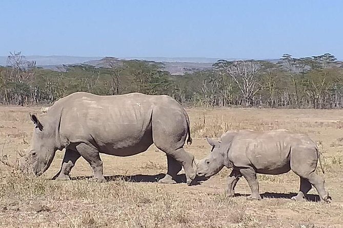 Early Morning Group Joining Mini Safari To Nairobi National Park - Practical prep so the morning doesn’t feel like chaos