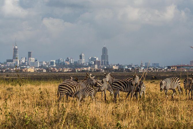 Early Nairobi Park Giraffe Centre and Optional Elephant Orphanage - Giraffe Centre at 9:30am: Rothschild Conservation With Real Up-Close Time