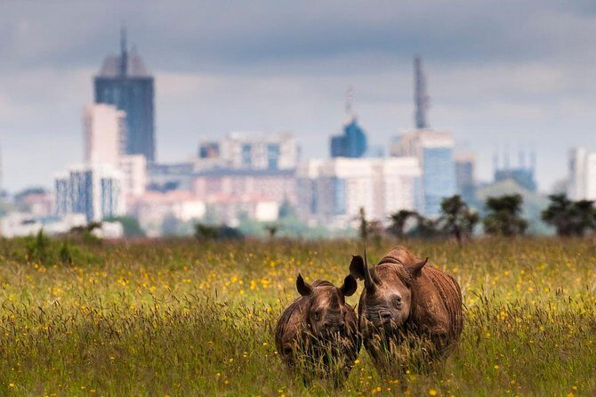 Early Nairobi Park Giraffe Centre and Optional Elephant Orphanage - What’s Included vs. What Costs Extra (So You Don’t Get Surprised)