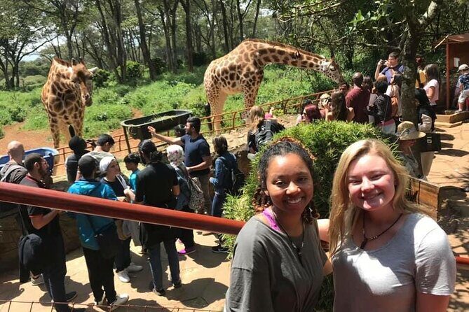 Elephant Orphanage and Giraffe Center Nairobi Day Tour - African Home Adventure Safaris meet-up: where your day gets organized