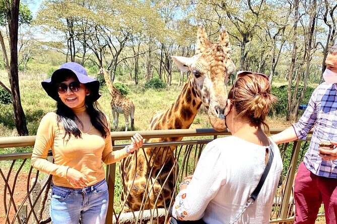 Elephant Orphanage and Giraffe Center Nairobi Day Tour - Price and value: what $194.81 per person gets you