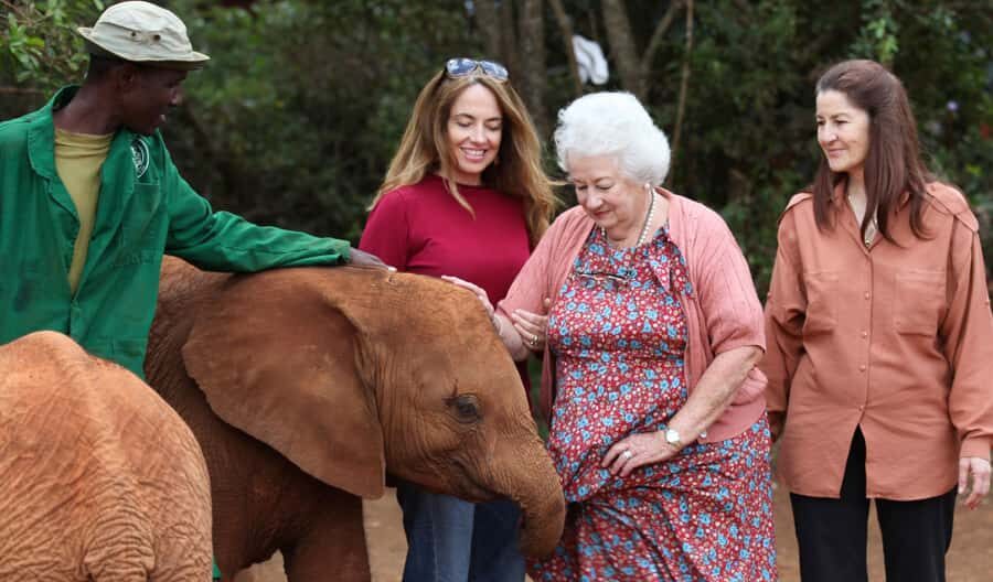 Elephant Orphanage,Giraffe Center&Karen Blixxen Day TripTour - Nairobi Pickup to Giraffe Center: The Day’s Pace
