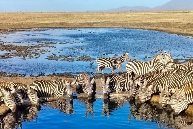 Elky Tours 2 Days Tsavo East Tour - Key Highlights You’ll Feel on the Safari