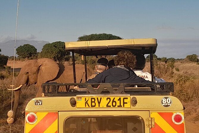 Elky Tours 2 Days Tsavo East Tour - What You Pay and Why It Can Still Be Good Value at $435