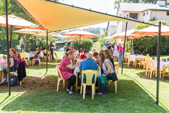 Excursion to Kiambethu Tea Farm - Nairobi to the tea fields: the pickup and pacing