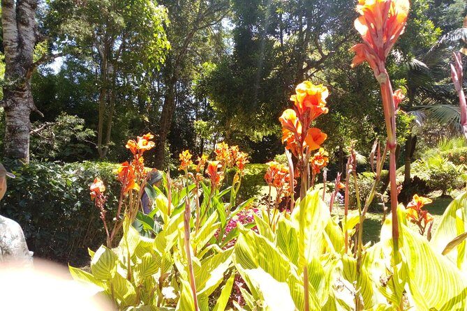 Excursion to Kiambethu Tea Farm - Price and value: is $140 fair for what you get?