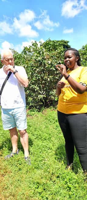 FAIRVIEW COFFEE FARM DAY TOUR - Price and value: is $82 worth it for Fairview?