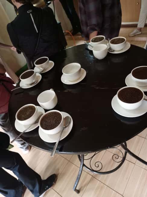 FAIRVIEW COFFEE FARM DAY TOUR - Getting there: hotel pickup and the 30-minute ride out of the city