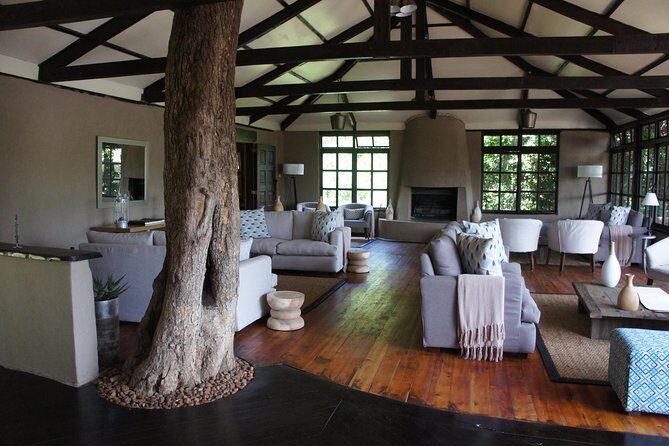Family & Friends safari Full package . - Maasai Mara: the Big Five promise is real, but the timing is everything