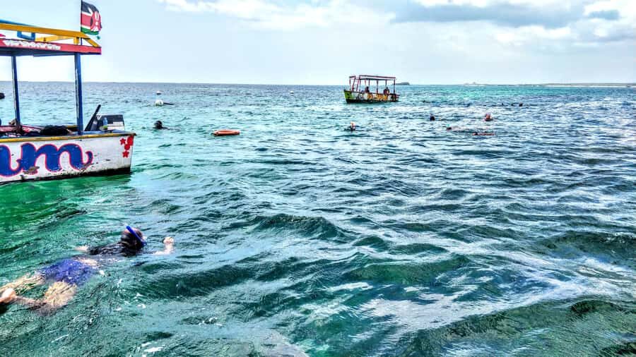 From Mombasa: Watamu Marine Park & Sudi Island Excursion - Double-decker boat time: reefs, glass-bottom views, and dolphin odds