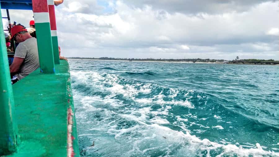 From Mombasa: Watamu Marine Park & Sudi Island Excursion - Snorkeling Watamu’s protected reef: fish, turtles, and big visitors