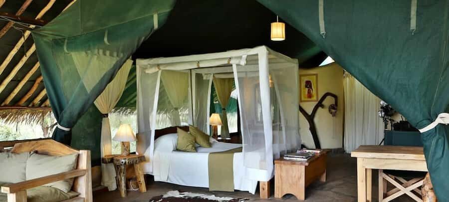 From Nairobi: 2-Day Amboseli National Park Safari - The guide matters: different styles, same mission