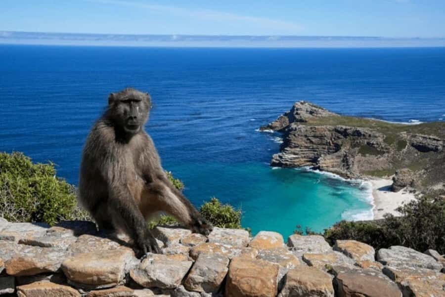 From Nairobi: 2-Day Naivasha Safari with Accommodation - Should You Book This 2-Day Naivasha Safari?