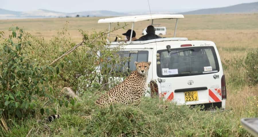 From Nairobi : 2-Days 1-Night Masai Mara Private 4WD Safari - Day 1 Options: Narok Snacks vs. Faster Park Entry