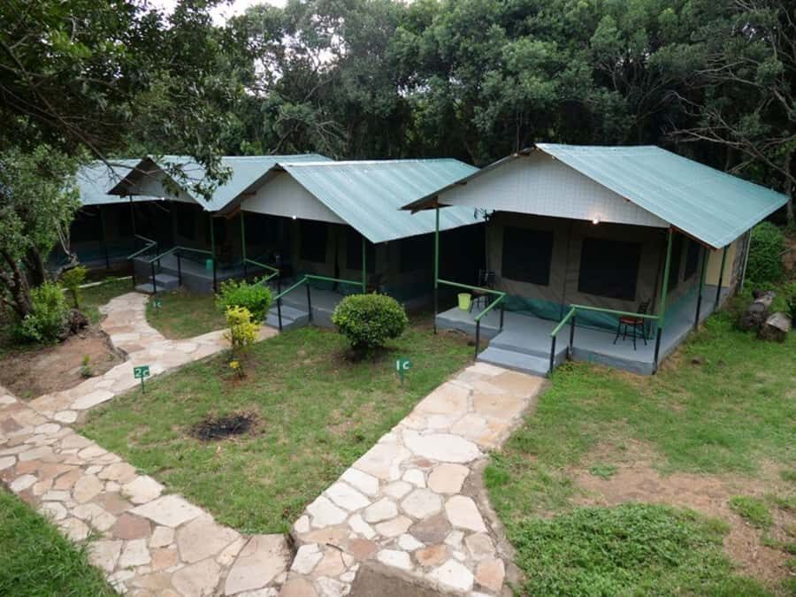 From Nairobi: 3 Days 2 Nights Masai Mara Group Safari - The vehicle and group size: why “pop-up roof” actually matters