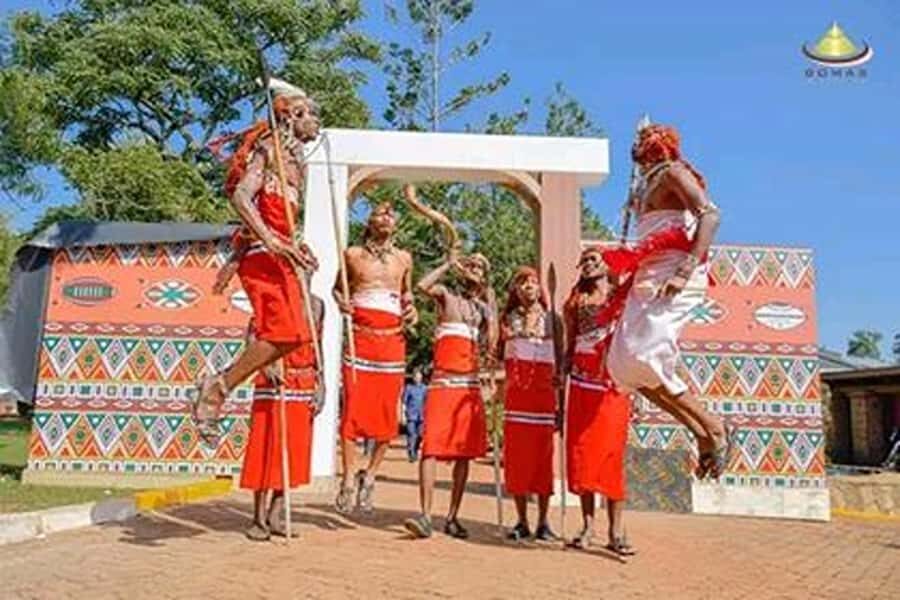 From Nairobi: Bomas of Kenya Cultural Dance Tour and Show - Key things I’d plan around before you go