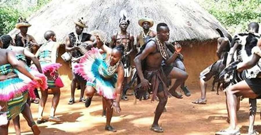 From Nairobi: Bomas of Kenya Cultural Dance Tour and Show - The show in the arena: dance, music, folklore, and acrobatics