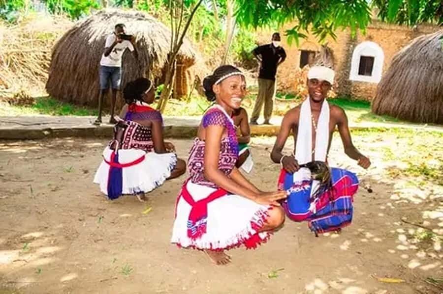 From Nairobi: Bomas of Kenya Cultural Dance Tour and Show - Value for $70: when this feels like a smart choice