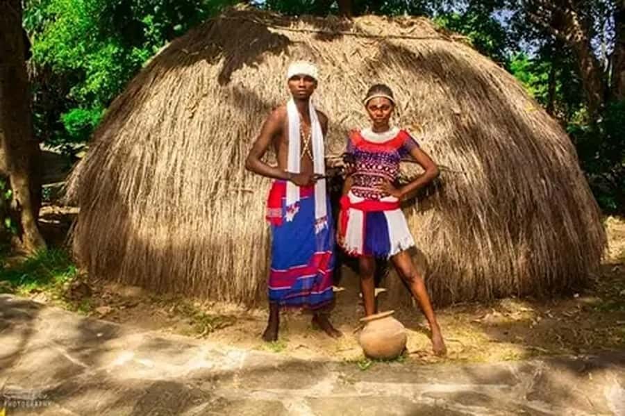 From Nairobi: Bomas of Kenya Cultural Dance Tour and Show - Who should book this tour, and who might want a different plan