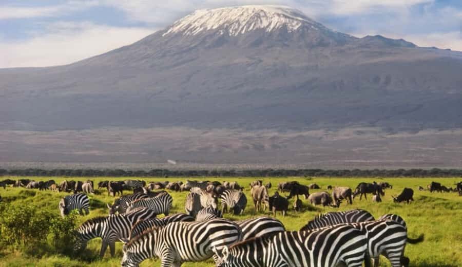 From Nairobi: Day Trip to Amboseli National Park - The short early afternoon drive: quick hits before you leave
