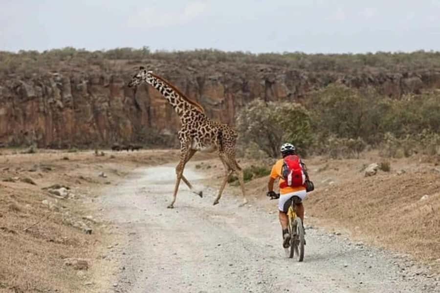 From Nairobi: Day Trip to Lake Naivasha and Hell's Gate - Thermal Spa Time: Recovery, Heat, and a Worthwhile End to the Ride